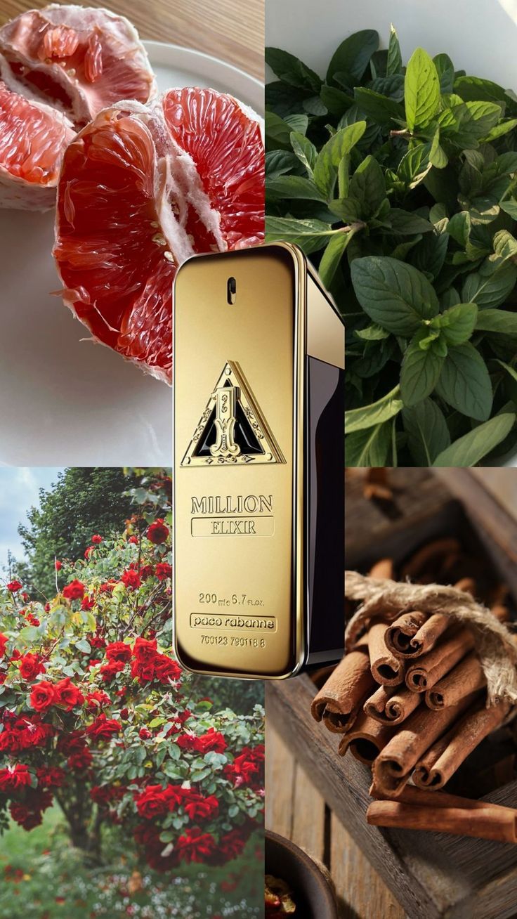 Paco Rabane 1 Million Elixir -Parfum Intense (100ml)