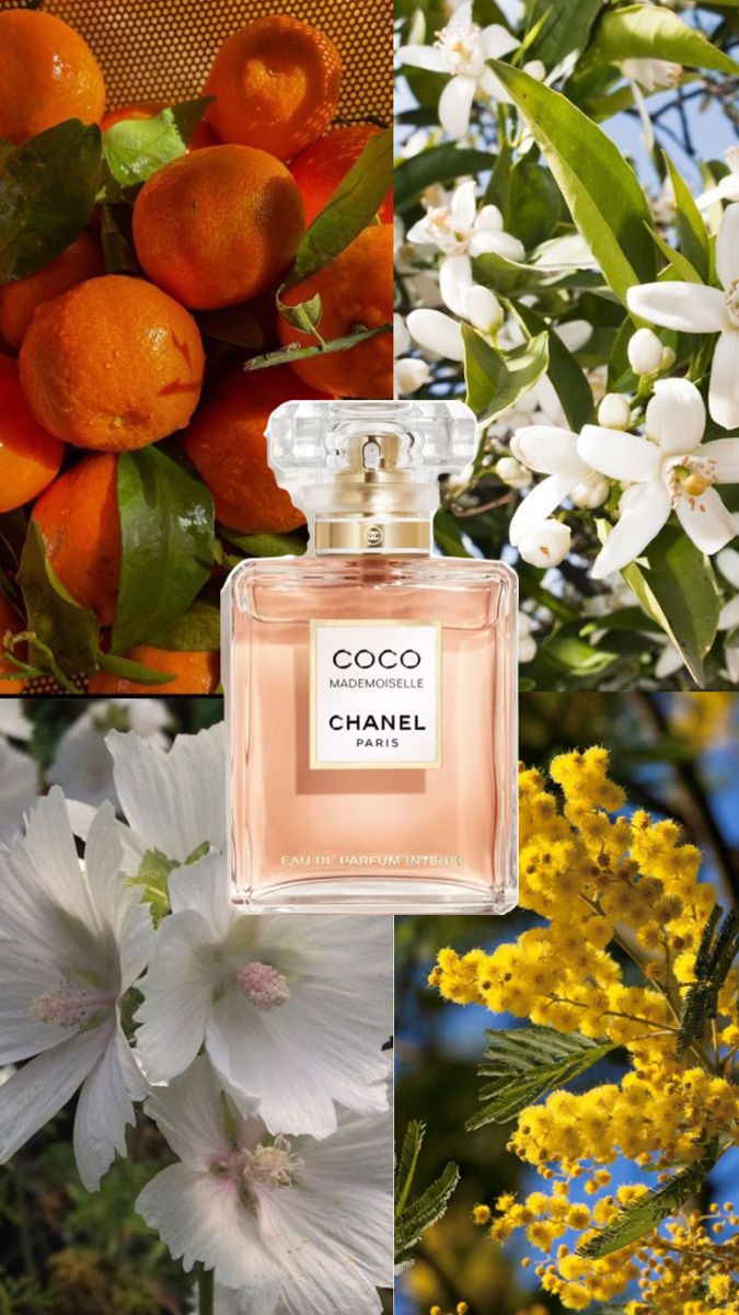 Chanel Coco Mademoiselle Intense – Eau de Parfum Intense (100ml)