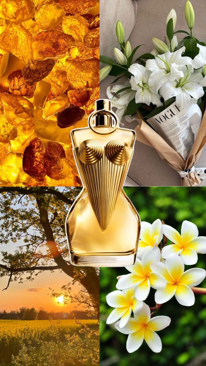 Jean Paul Gaultier Divine – Eau de Parfum (100ml)